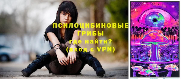 таблы Гусь-Хрустальный