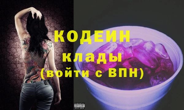 кокс Гусев
