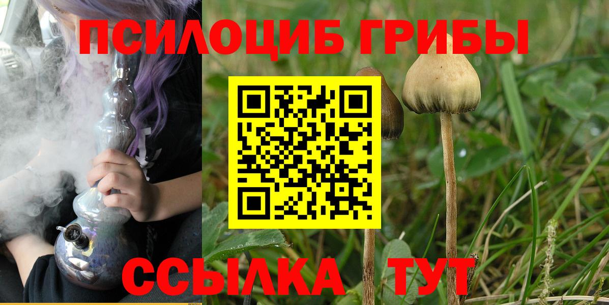 Галлюциногенные грибы Magic Shrooms Реж