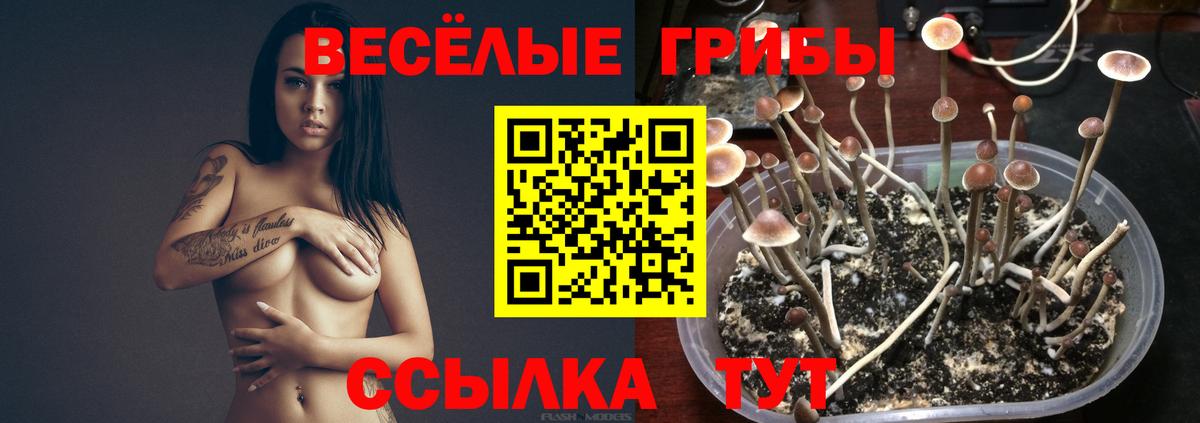 Псилоцибиновые грибы мицелий  Вход с VPN  Реж 