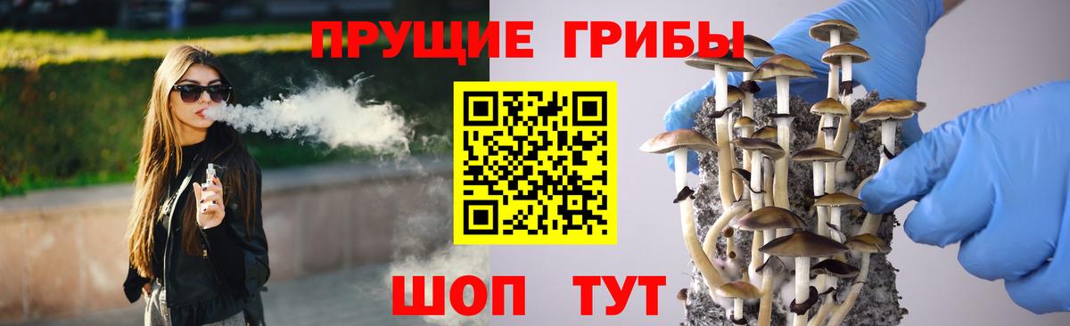 Галлюциногенные грибы Psilocybe Реж